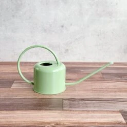 0.9 Liter- PLINT Stainless Steel Watering Can -Eds Plant Shop 09 liter plint stainless steel watering can 676148