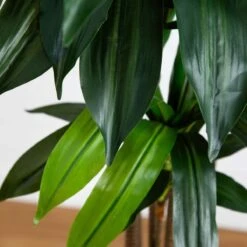 10-ft Artificial Dracaena Tree With Real Touch Leaves -Eds Plant Shop 10 artificial dracaena tree with real touch leaves 292303