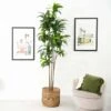 10-ft Artificial Dracaena Tree With Real Touch Leaves -Eds Plant Shop 10 artificial dracaena tree with real touch leaves 900887
