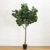 10-ft Artificial Fiddle Leaf Fig Tree -Eds Plant Shop 10 artificial fiddle leaf fig tree 885396