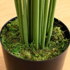 10-ft Artificial Paradise Palm Tree -Eds Plant Shop 10 artificial paradise palm tree 131051