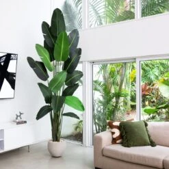 10-ft Artificial Travelers Palm Tree – Grand Tropical Statement 11 10-ft Artificial Travelers Palm Tree – Grand Tropical Statement -Eds Plant Shop 10 artificial travelers palm tree grand tropical statement 228825