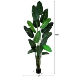 10-ft Artificial Travelers Palm Tree – Grand Tropical Statement 14 10-ft Artificial Travelers Palm Tree – Grand Tropical Statement -Eds Plant Shop 10 artificial travelers palm tree grand tropical statement 368405