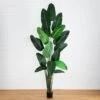 10-ft Artificial Travelers Palm Tree – Grand Tropical Statement -Eds Plant Shop 10 artificial travelers palm tree grand tropical statement 838392