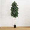 10-ft Faux Ficus Tree | Lifelike Indoor Tree – Ed's Plant Shop -Eds Plant Shop 10 faux ficus tree lifelike indoor tree eds plant shop 952627