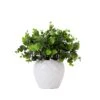 11-in Artificial Boxwood Plant | Decorative Planter Accent -Eds Plant Shop 11 artificial boxwood plant decorative planter accent 243224