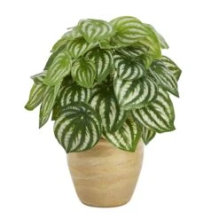 11-inch Artificial Watermelon Peperomia - Faux Plant In Ceramic Planter