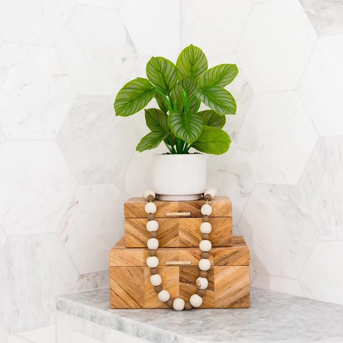 12-in Artificial Calathea Plant With Decorative Planter 4 12-in Artificial Calathea Plant With Decorative Planter - Image 2