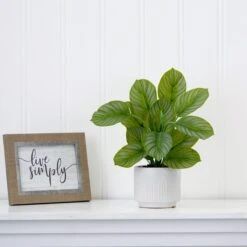 12-in Artificial Calathea Plant With Decorative Planter 13 12-in Artificial Calathea Plant With Decorative Planter -Eds Plant Shop 12 artificial calathea plant with decorative planter 744675