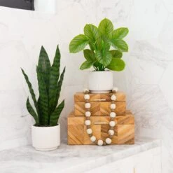 12-in Artificial Calathea Plant With Decorative Planter 12 12-in Artificial Calathea Plant With Decorative Planter -Eds Plant Shop 12 artificial calathea plant with decorative planter 958476