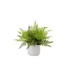 13-in Artificial Boston Fern Plant With Decorative Planter -Eds Plant Shop 13 artificial boston fern plant with decorative planter 327668