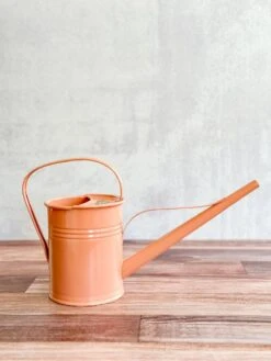 1.5 Liter-PLINT Watering Can With Long Reach Spout -Eds Plant Shop 15 liter plint watering can with long reach spout 382863