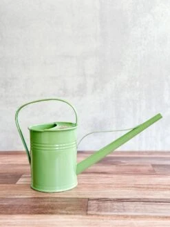 1.5 Liter-PLINT Watering Can With Long Reach Spout -Eds Plant Shop 15 liter plint watering can with long reach spout 565881