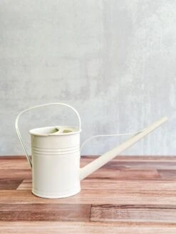 1.5 Liter-PLINT Watering Can With Long Reach Spout -Eds Plant Shop 15 liter plint watering can with long reach spout 756609