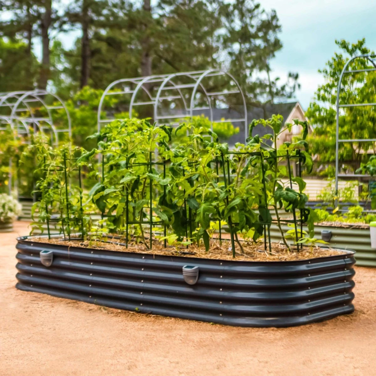 17" Tall 10 In 1 Jumbo Modular Metal Raised Garden Bed Kit 9 17" Tall 10 In 1 Jumbo Modular Metal Raised Garden Bed Kit - Image 7