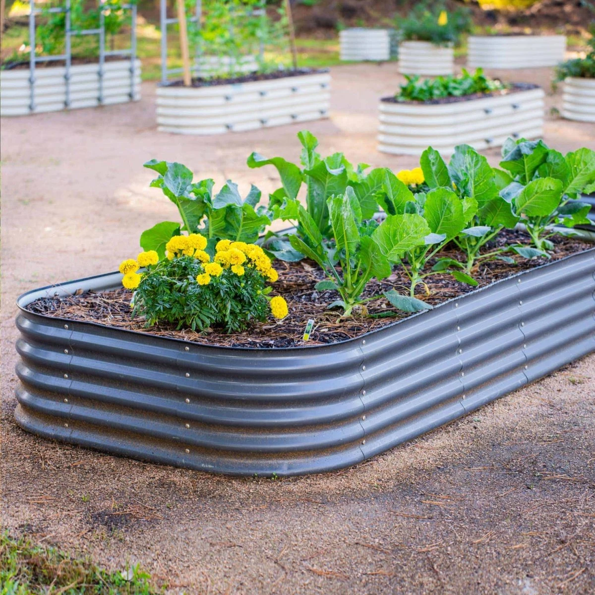 17" Tall 10 In 1 Jumbo Modular Metal Raised Garden Bed Kit 5 17" Tall 10 In 1 Jumbo Modular Metal Raised Garden Bed Kit - Image 3