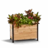 18" X 36" Cedar Planter Box – 24" Tall Raised Garden Bed -Eds Plant Shop 18 x 36 planter box 24 tall 204630