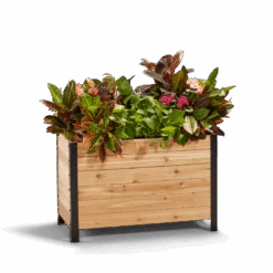 18" X 36" Cedar Planter Box – 24" Tall Raised Garden Bed
