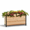 18" X 48" Cedar Planter Box – 24" Tall | Food-Safe Elevated Garden Bed 2 18" X 48" Cedar Planter Box – 24" Tall | Food-Safe Elevated Garden Bed -Eds Plant Shop 18 x 48 planter box 24 tall 249718