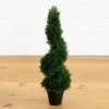 2-Ft Maintenance Free Spiral Cedar Topiary -Eds Plant Shop 2 cedar spiral silk tree in doorout door 971034
