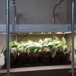 2' Plug & Play Grow Lamp – T5 HO Sun White Spectrum -Eds Plant Shop 2 plug play grow lamp t5 ho sun white spectrum 795899