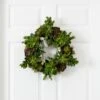 20-in Succulent Wreath | Timeless Elegance With Magnolia Blooms 1 20-in Succulent Wreath | Timeless Elegance With Magnolia Blooms -Eds Plant Shop 20 succulent wreath timeless elegance with magnolia blooms 690648