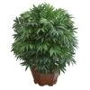 24-in Bamboo Palm Artificial Plant With Decorative Planter -Eds Plant Shop 24 bamboo palm artificial plant with decorative planter 860924