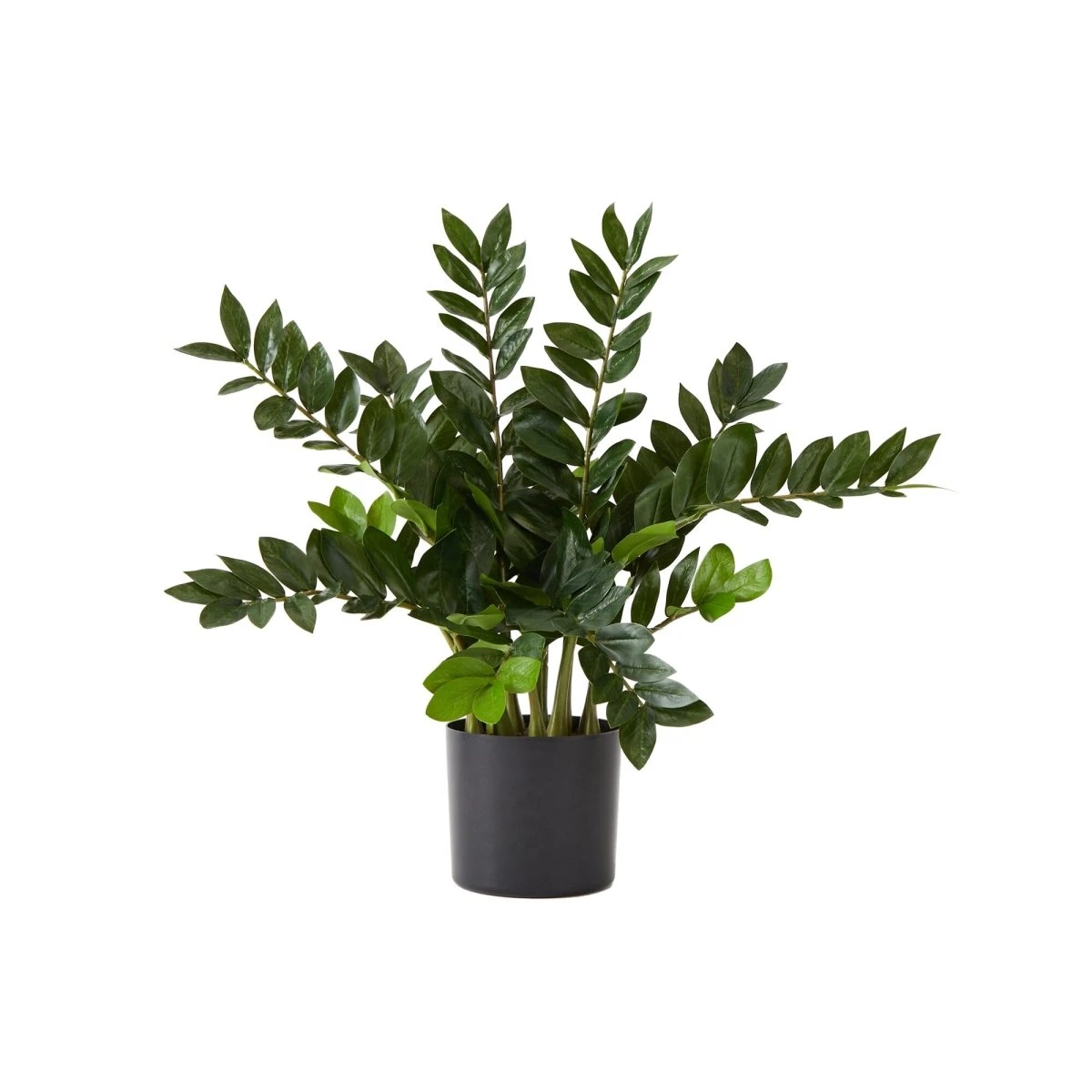 28-in Artificial ZZ Plant | Faux Zamioculcas For Effortless Indoor Greenery 3 28-in Artificial ZZ Plant | Faux Zamioculcas For Effortless Indoor Greenery