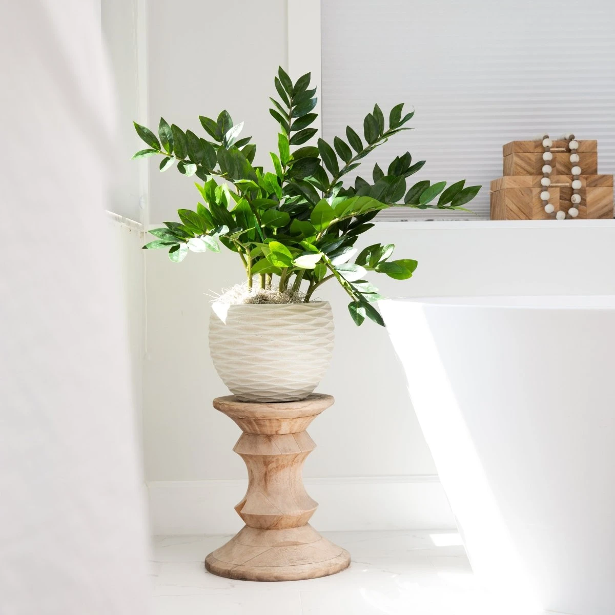 28-in Artificial ZZ Plant | Faux Zamioculcas For Effortless Indoor Greenery 4 28-in Artificial ZZ Plant | Faux Zamioculcas For Effortless Indoor Greenery - Image 2