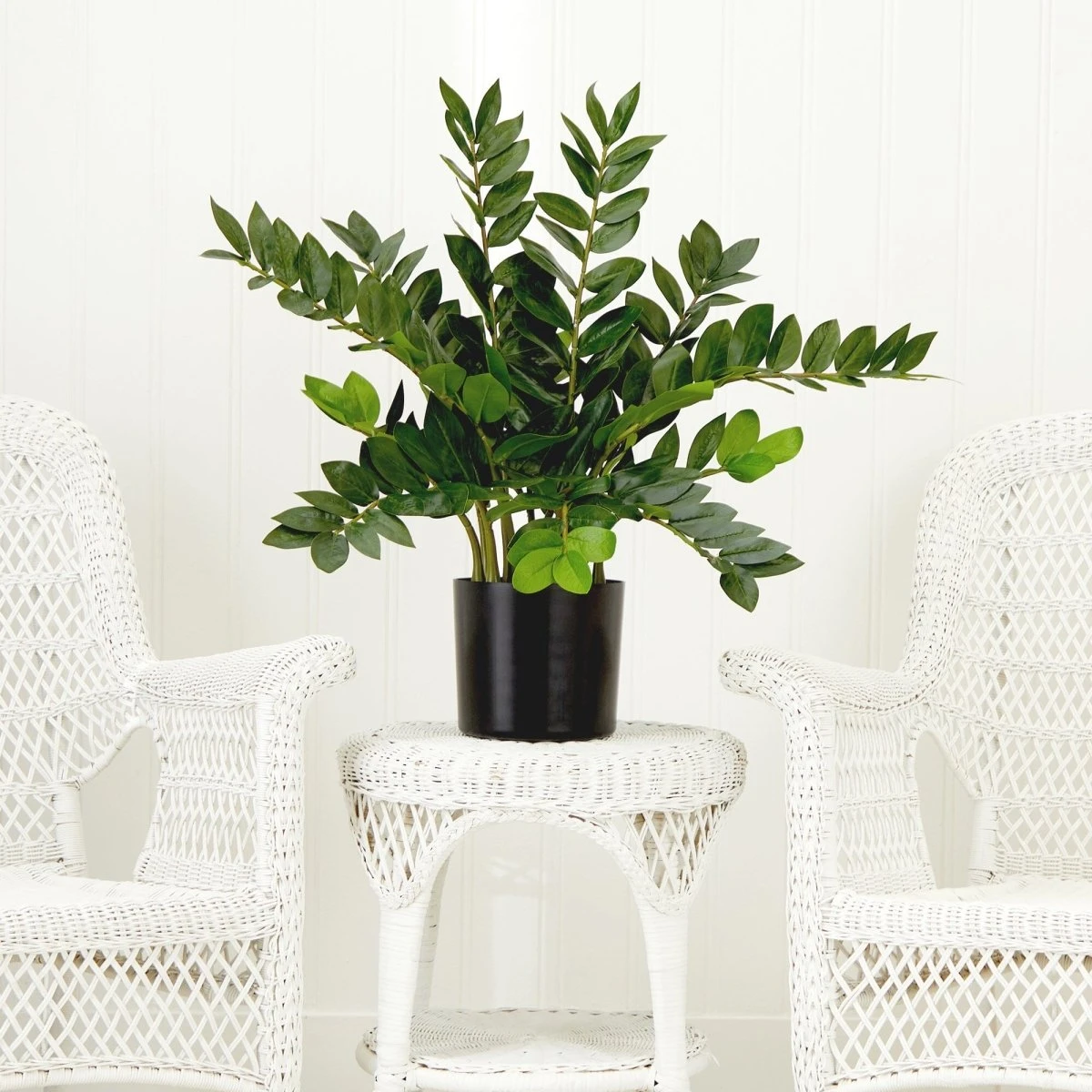 28-in Artificial ZZ Plant | Faux Zamioculcas For Effortless Indoor Greenery 8 28-in Artificial ZZ Plant | Faux Zamioculcas For Effortless Indoor Greenery - Image 6