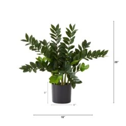 28-in Artificial ZZ Plant | Faux Zamioculcas For Effortless Indoor Greenery 15 28-in Artificial ZZ Plant | Faux Zamioculcas For Effortless Indoor Greenery -Eds Plant Shop 28 artificial zz plant faux zamioculcas for effortless indoor greenery 722914