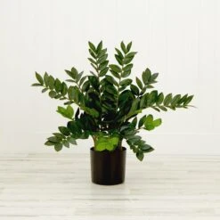 28-in Artificial ZZ Plant | Faux Zamioculcas For Effortless Indoor Greenery 13 28-in Artificial ZZ Plant | Faux Zamioculcas For Effortless Indoor Greenery -Eds Plant Shop 28 artificial zz plant faux zamioculcas for effortless indoor greenery 888571