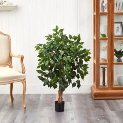 3-ft Ficus Silk Tree -Eds Plant Shop 3 ficus silk tree 943244