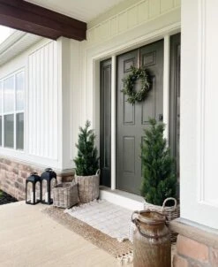 3-ft Realistic Artificial Pine Tree For Rustic Cabin Decor - Indoor/Outdoor -Eds Plant Shop 3 mini cedar pine tree indooroutdoor 333178