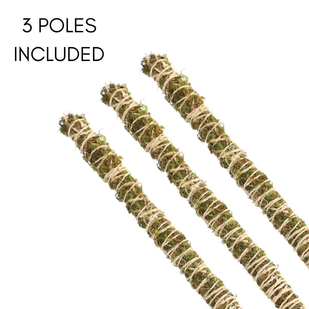 3 Pack Bendable Moss Pole™ THIN – Flexible Plant Support For Smaller Pots & Delicate Climbers 9 3 Pack Bendable Moss Pole™ THIN – Flexible Plant Support For Smaller Pots & Delicate Climbers - Image 7