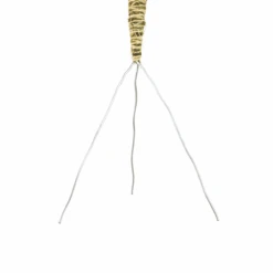 3 Pack Bendable Moss Pole™ THIN – Flexible Plant Support For Smaller Pots & Delicate Climbers 36 3 Pack Bendable Moss Pole™ THIN – Flexible Plant Support For Smaller Pots & Delicate Climbers -Eds Plant Shop 3 pack bendable moss pole thin flexible plant support for smaller pots delicate climbers 5247537