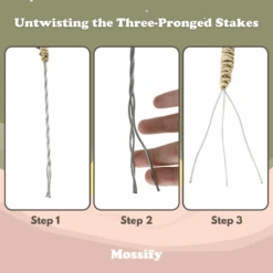 3 Pack Bendable Moss Pole™ THIN – Flexible Plant Support For Smaller Pots & Delicate Climbers 23 3 Pack Bendable Moss Pole™ THIN – Flexible Plant Support For Smaller Pots & Delicate Climbers -Eds Plant Shop 3 pack bendable moss pole thin flexible plant support for smaller pots delicate climbers 7070233