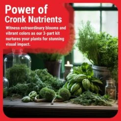 3-Part Base Kit | Micro, Grow, Bloom -Eds Plant Shop 3 part base kit micro grow bloom 539454