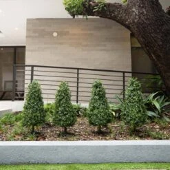 3-ft UV-Resistant Artificial Boxwood Topiary With Ground Stake – Set Of 2 -Eds Plant Shop 3 uv resistant artificial boxwood topiary with ground stake set of 2 8455693