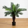 3-ft UV‑Resistant Cycas Palm Tree – Indoor/Outdoor Faux Plant -Eds Plant Shop 3 uvresistant cycas palm tree indooroutdoor faux plant 4958182