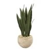 32-in Sansevieria Artificial Plant | Sand-Colored Planter -Eds Plant Shop 32 in sansevieria artificial plant sand colored planter 7722981