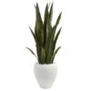 3.5-ft Faux Sansevieria Snake Plant In White Decorative Planter -Eds Plant Shop 35 faux sansevieria snake plant in white decorative planter 548038
