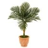 3.5-ft Golden Cane Artificial Palm Tree -Eds Plant Shop 35 golden cane artificial palm tree eds plant shop 650652