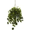 36-in Philodendron Hanging Basket UV Resistant (Indoor/Outdoor) -Eds Plant Shop 36 in philodendron hanging basket uv resistant indooroutdoor 9284687