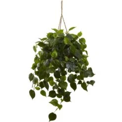 36-in Philodendron Hanging Basket UV Resistant (Indoor/Outdoor)