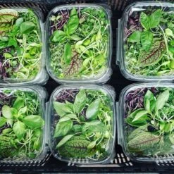 4' 8 Lamp LED Grow Light - T5 HO Sun White Pro Spectrum -Eds Plant Shop 4 8 lamp led grow light t5 ho sun white pro spectrum 901175