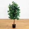 4-ft Ficus Auriculata Artificial Silk Tree – Lifelike Faux Tree With 504 Leaves -Eds Plant Shop 4 ficus auriculata artificial silk tree lifelike faux tree with 504 leaves 786601