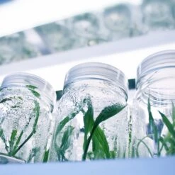 4' LED Grow Lamp – T8 HO Sun White Pro Spectrum -Eds Plant Shop 4 led grow lamp t8 ho sun white pro spectrum 267612