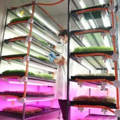 4' LED Grow Lamp – T8 HO Sun White Pro Spectrum -Eds Plant Shop 4 led grow lamp t8 ho sun white pro spectrum 417224