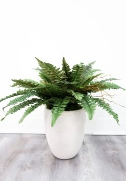 40″ Artificial Boston Fern (Set Of 2) -Eds Plant Shop 40 artificial boston fern set of 2 7028533